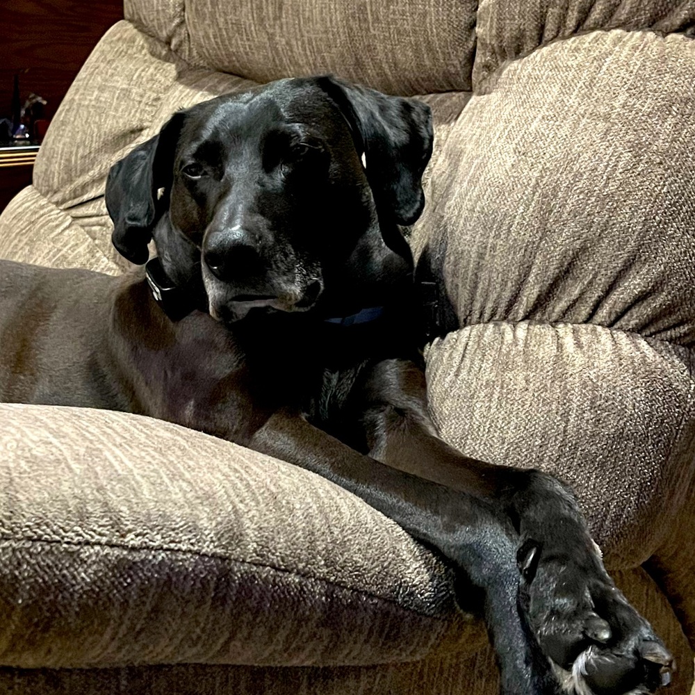 Mom of two and a dog!!